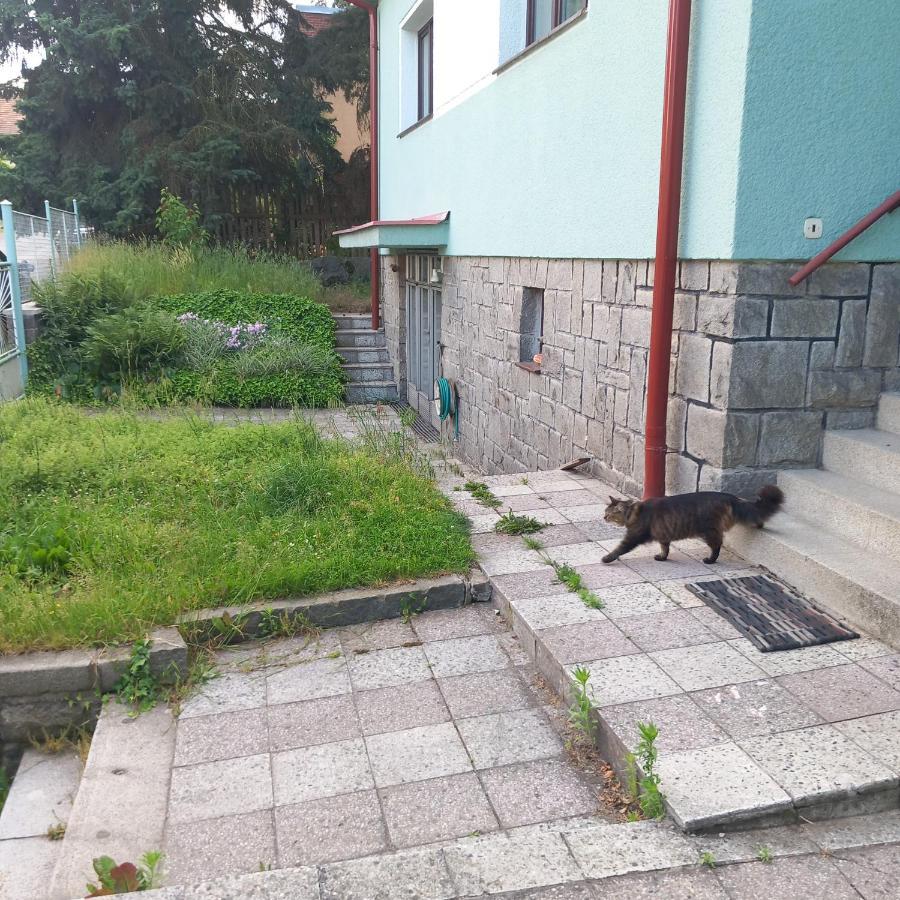 Apartment In The City Of Pilsen Bozkov Exterior photo
